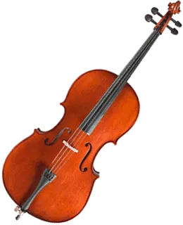 rachat violoncelle schtenegry-musique
